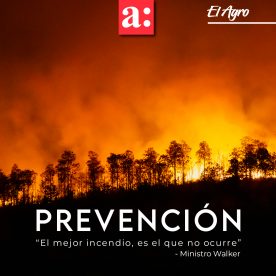 Ministro Walker: “Vamos a tener una temporada durísima de incendios”