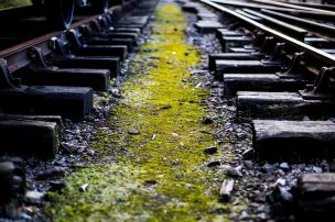 Mujer de 60 años murió atropellada por un tren de carga en Maipú