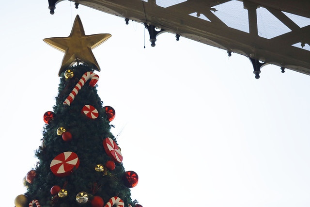 Plan “Paso a Paso”: ¿Con cuántas personas puedo celebrar la Navidad en mi comuna?