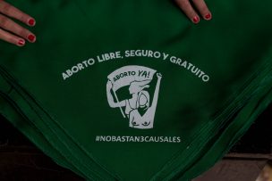 Comienza la tramitación en el Congreso sobre el proyecto que despenaliza el aborto hasta las 14 semanas