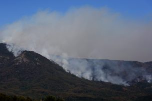 Declaran Alerta Roja para Los Ángeles por incendio forestal