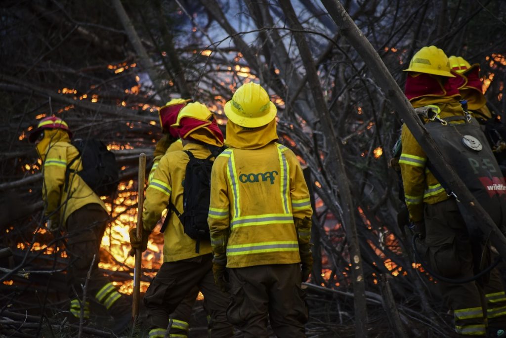 Actualizan Alerta Temprana Preventiva para RM por amenaza de incendio forestal