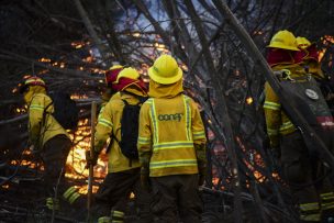 Declaran Alerta Roja para la comuna de Cholchol por incendio forestal