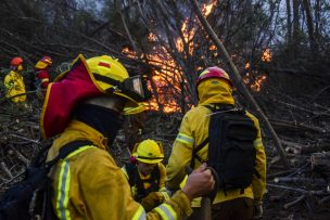 Región del Maule: Declaran Alerta Amarilla comunal en Colbún por incendio Forestal