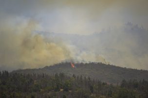 Mantienen la Alerta Roja en la comuna de Quilpué por incendio forestal