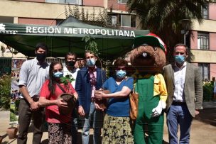 Vecinos de Santiago recibieron un árbol como regalo de navidad