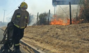 Declaran Alerta Roja para Curacaví por incendio forestal