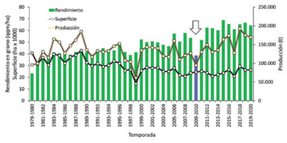 Presente y perspectivas futuras del cultivo del arroz en Chile