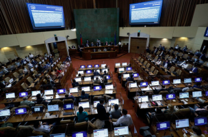 Cámara de Diputados verá proyecto de escaños reservados la próxima semana