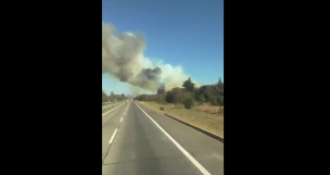 Valparaíso: Decretan Alerta Roja por incendio forestal en reserva nacional Lago Peñuelas