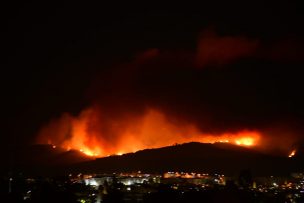 Incendios forestales se registran en Lago Peñuelas y Quilpué