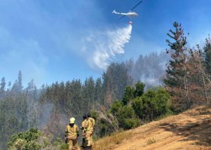 Declaran Alerta Roja por incendios forestales en Valparaíso: Uno consume al menos 15 hectáreas