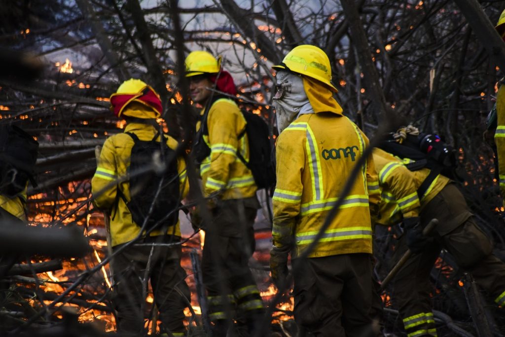 Alerta Roja para la comuna de Talagante por incendio forestal