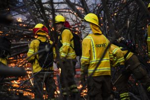 Alerta Roja para la comuna de Talagante por incendio forestal