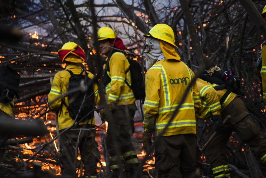 Viviendas están en peligro: Declaran Alerta Roja por incendio forestal en Molina y Río Claro