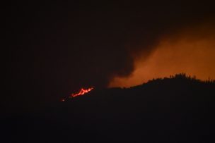 Alerta Roja para Yungay por incendio forestal: Preocupa avance a sectores habitados