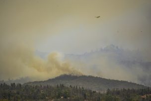 Incendio en Quilpué: Refuerzan líneas de cortafuegos para evitar avance a otros sectores poblados