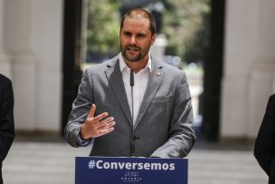 Ministro Bellolio confirma que autoridades de gobierno saldrían del gabinete esta semana para ser constituyentes