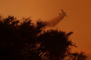 Las crudas imágenes que dejan el incendio forestal que se registra en la región de Valparaíso