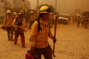 Incendio en Quilpué: CONAF concentró labores en reforzar líneas de cortafuegos