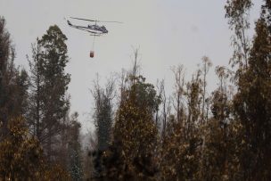 Recursos terrestres y aéreos se despliegan para reforzar líneas de cortafuegos en Quilpué