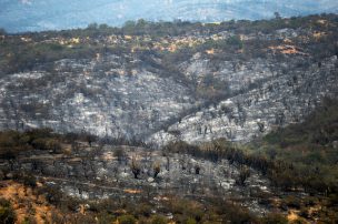 Conaf: Incendio en Quilpué ya no es un riesgo para la población