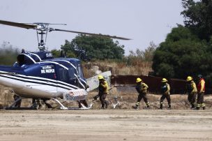 Evacuados en incendio forestal en Quilpué podrán volver a sus hogares