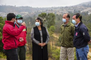 150 kilómetros de cortafuegos se han construido y mantenido en Viña del Mar