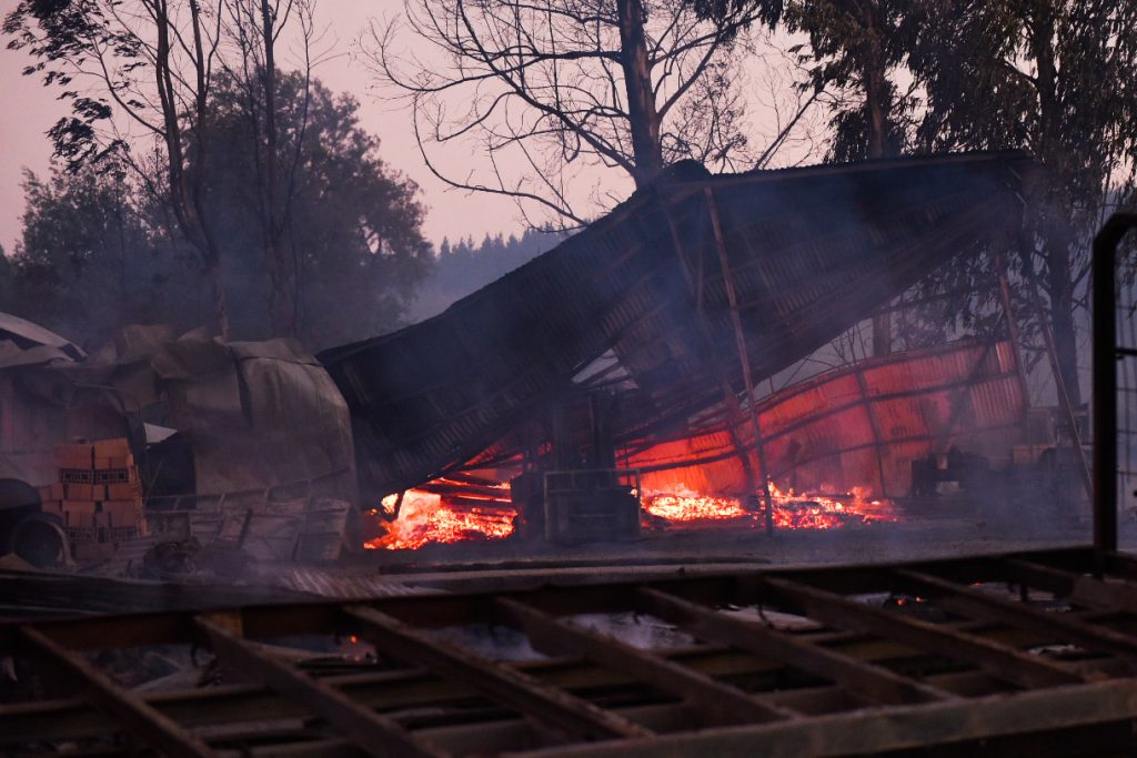 Incendios activos ya consumen 3 mil hectáreas entre El Maule y La Araucanía