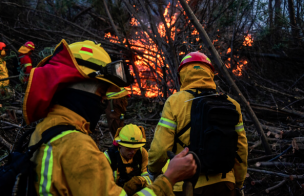 Declaran Alerta Roja para la comuna de Rengo por incendio forestal