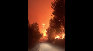 Autoridades ordenan evacuación preventiva de familias en Nacimiento por incendio forestal