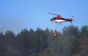 Se declara Alerta Roja para la comuna de Tirúa por incendio forestal