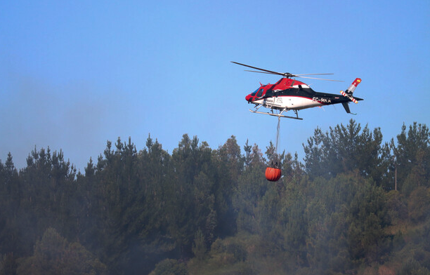 Se declara Alerta Roja para la comuna de Tirúa por incendio forestal
