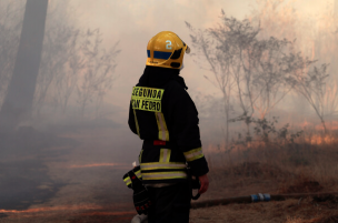 Autoridades llaman a la prevención de incendios forestales en Talagante