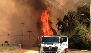 Incendio forestal se registra en las cercanías de una bencinera en Monte Patria 