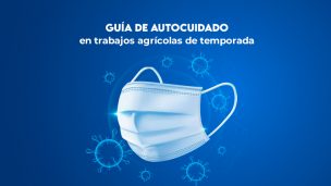 Guía de Autocuidado para evitar contagios de COVID-19 en trabajos agrícolas de temporada