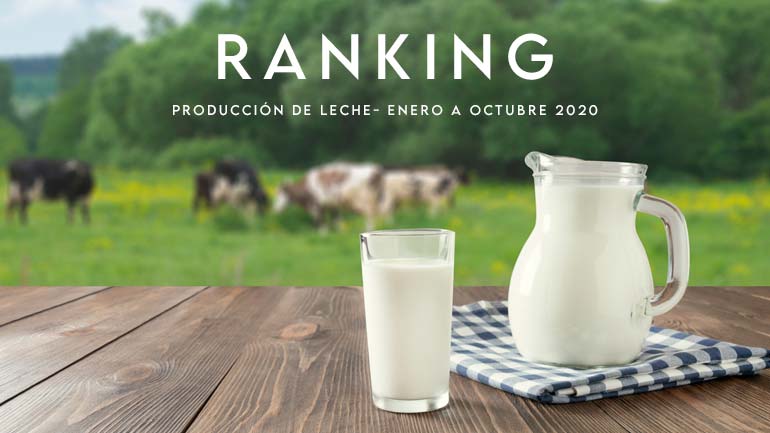Ranking por empresa recepción de leche enero – octubre 2020