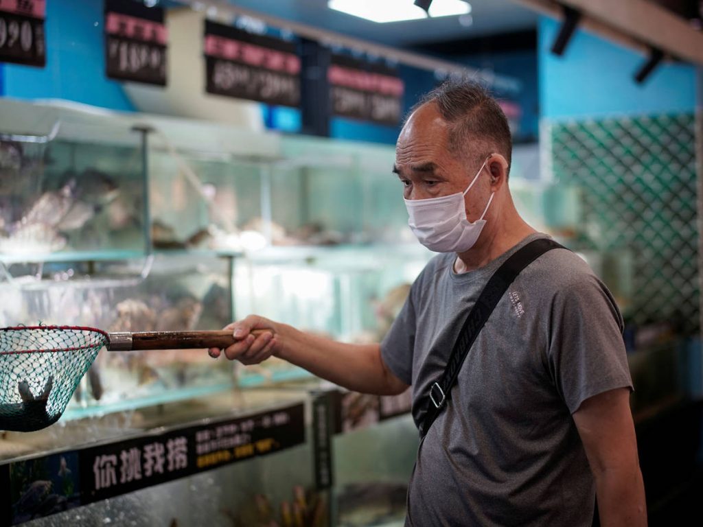 Covid-19: Cantidad de casos nuevos semanales a nivel mundial caen en un 13%