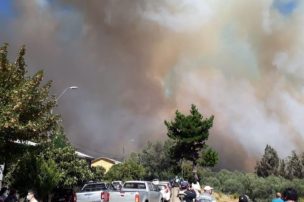 Onemi emitió alerta de evacuación en la Región de La Araucanía por incendio forestal