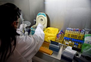 Rusia identifica el primer caso de gripe aviar H5N8 en un ser humano