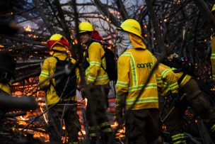 Incendio forestal en Lumaco: 9 personas damnificadas y 3 viviendas inhabitables