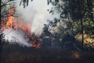 Alerta Roja para Los Ángeles por incendio forestal cercano a sectores habitados