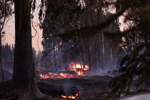 Declaran Alerta Roja para Curarrehue por incendio forestal