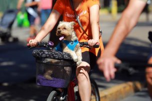 Ciclorecreovía: Habilitan tramo de Providencia y Las Condes a partir del domingo