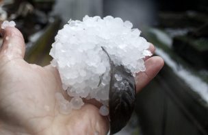 Enormes granizos sorprendieron a talquinos en medio de fuertes lluvias