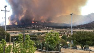 Incendio forestal de gran magnitud afecta a comuna de Curacaví 