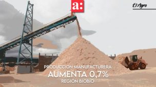 Producción manufacturera de la Región del Biobío aumentó 0,7% en diciembre