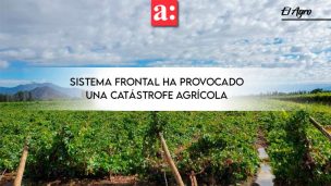 Fedefruta: Sistema frontal ha provocado una catástrofe agrícola