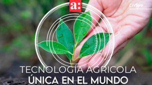 Chilenos inventan tecnología agrícola única en el mundo