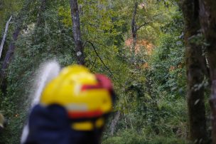 Formalizan a siete brigadistas forestales por delito incendio en Molina